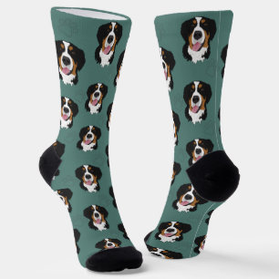 Bernese Mountain Dog  Socks
