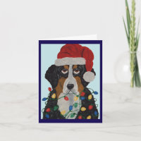 Bernese Mountain Dog Tangled In Christmas Lights