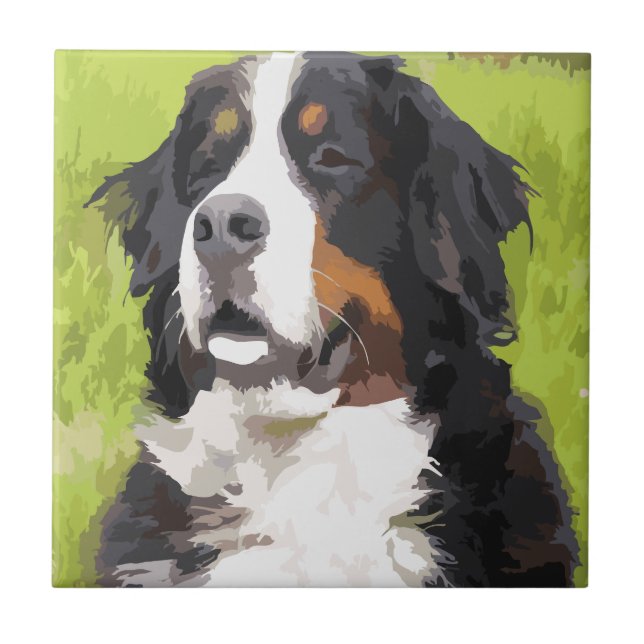 Bernese mountain dog tile (Front)