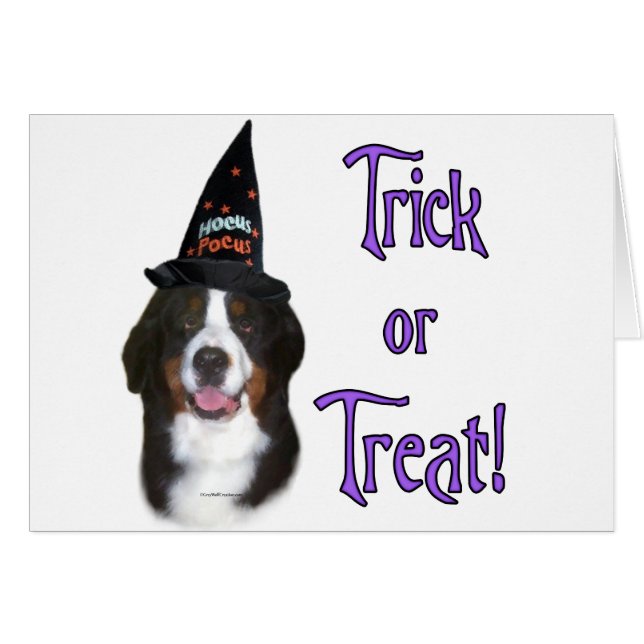 Bernese Mountain Dog Trick (Front Horizontal)