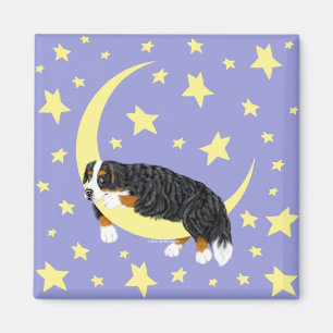 Bernese Mountain Dog Twinkle Magnet