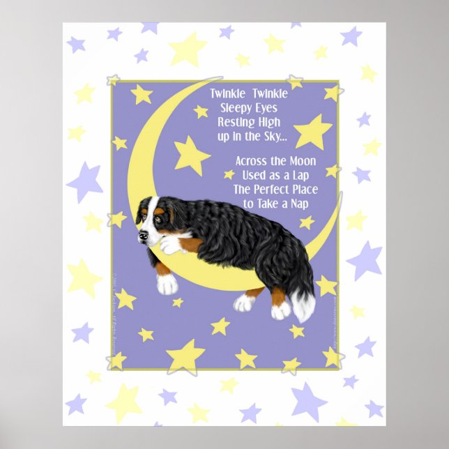 Bernese Mountain Dog Twinkle Poster (Front)