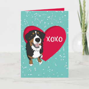 Bernese Mountain Dog Valentines Day  Thank You Card