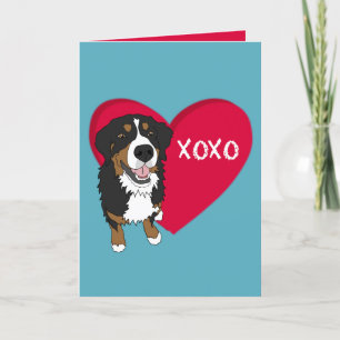 Bernese Mountain Dog Valentines Day Thank You Card