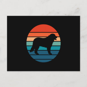 Bernese Mountain Dog Vintage Retro Postcard