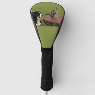 bernese mountain dog with cat golf head cover
