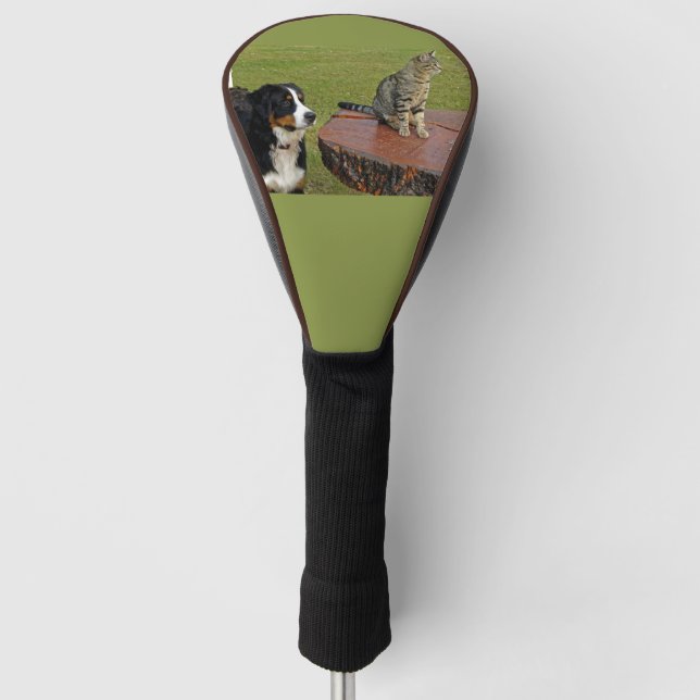 bernese mountain dog with cat golf head cover (Front)