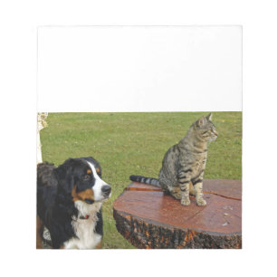 bernese mountain dog with cat notepad