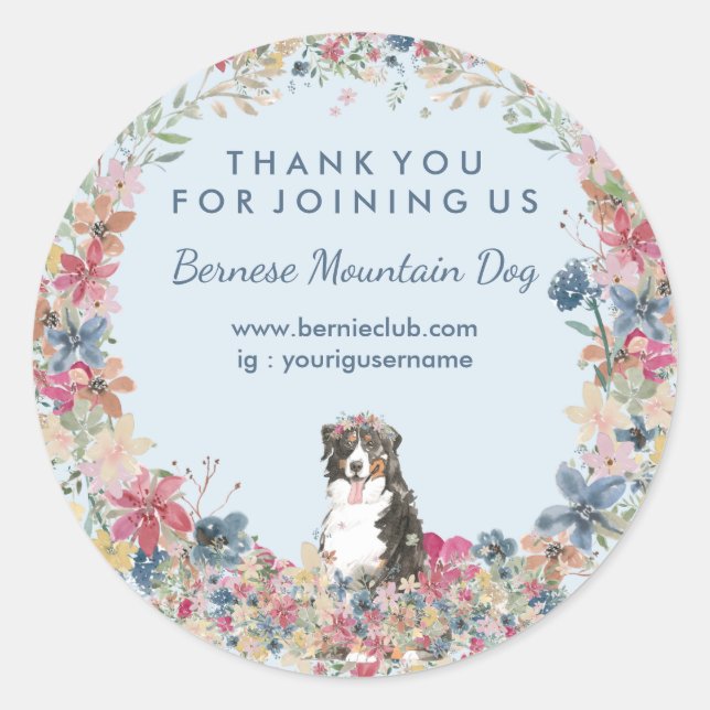 Bernese Mountain Dog with Flower Frame Classic Round Sticker (Front)