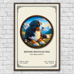 Bernese Mountain Dog Zoology Series Poster