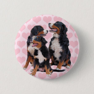 Bernese Mountain Dogs with Pink Hearts 2 Inch Round Button