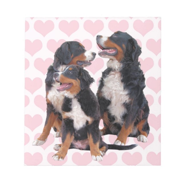 Bernese Mountain Dogs with Pink Hearts Notepad (Front)