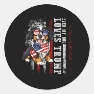 Bernese Mountain Even My Dog Loves Trump Funny Classic Round Sticker