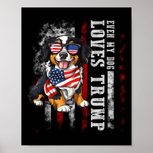Bernese Mountain Even My Dog Loves Trump Funny  Poster