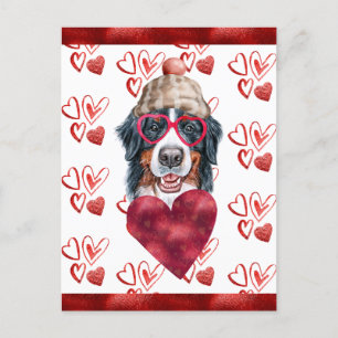 Bernese Mountain Hearts Dog Lover Valentine Gift Holiday Postcard