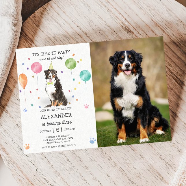 Bernese Mountain Pawty Puppy Birthday Pink Photo Invitation (Creator Uploaded)