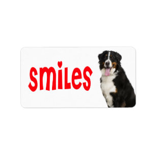 Bernese Mountain Puppy Mom Dog Rescue Dad Hello Label