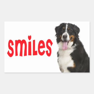 Bernese Mountain Puppy Mom Dog Rescue Dad Hello Sticker