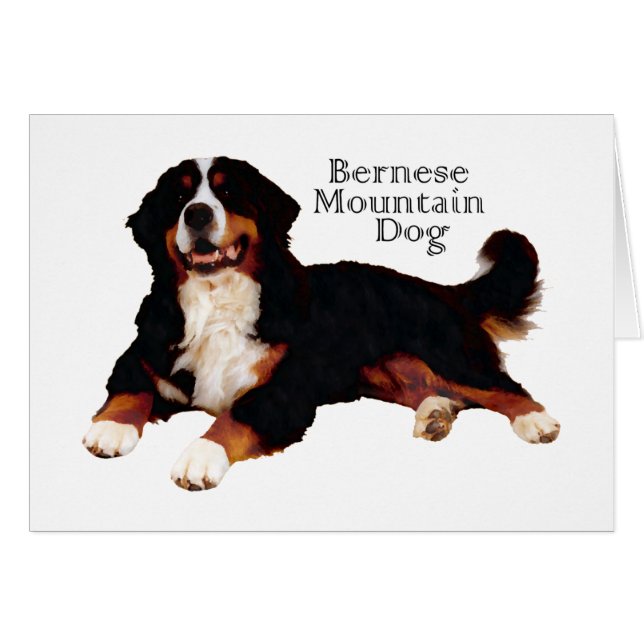 BERNESE Mt. Dog (Devant horizontal)