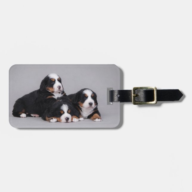 Bernese puppies luggage tag (Front Horizontal)