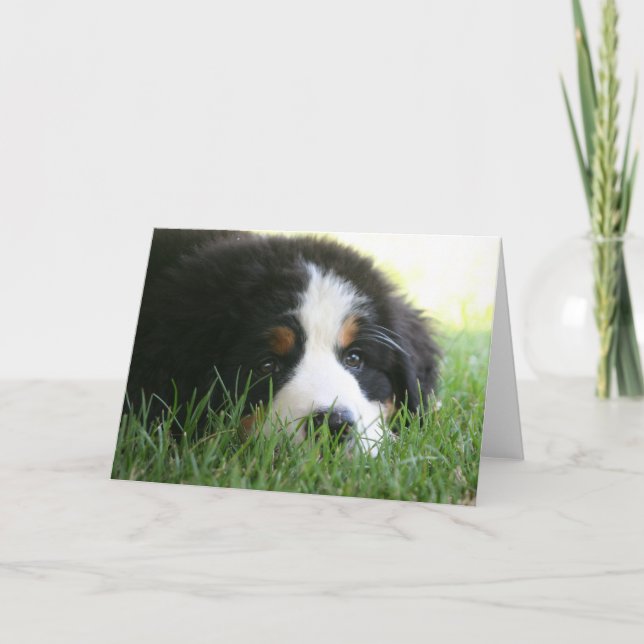 Bernese Puppy Card (Front)