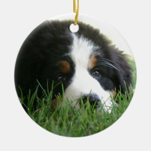 Bernese Puppy Ceramic Ornament