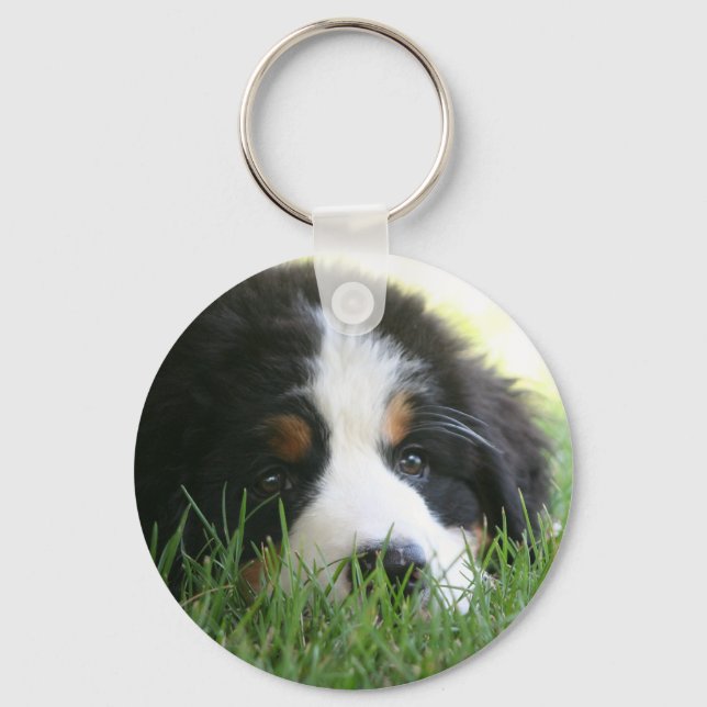 Bernese Puppy Keychain (Front)