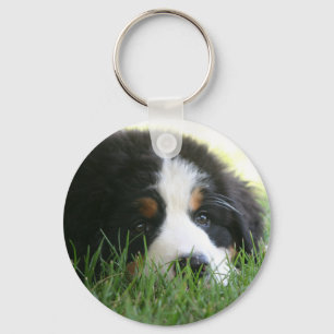 Bernese Puppy Keychain