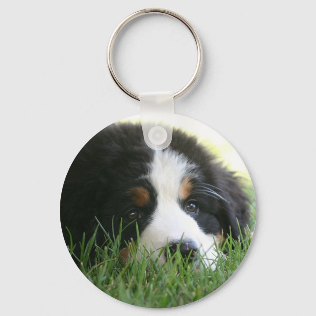 Bernese Puppy Keychain (Front)