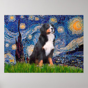 Bernese - Starry Night Poster