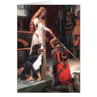 Bernese - The Accolade