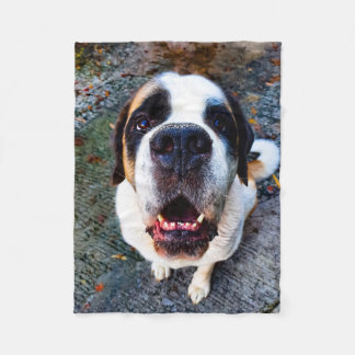 Bernhadn Fleece Blanket