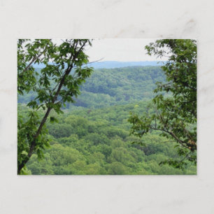 Bernheim Forest Postcard