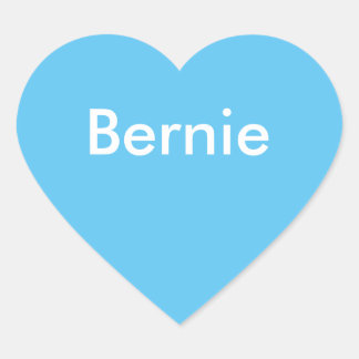 Bernie Bumper Sticker