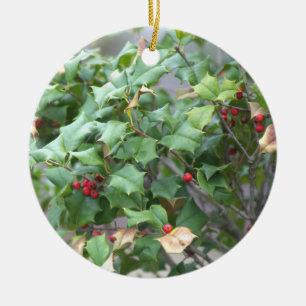 Berries and Holly Photo Ornament