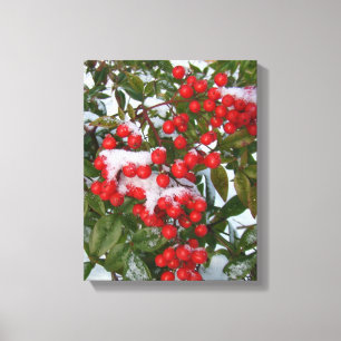 Berries and Snow! Canvas Print
