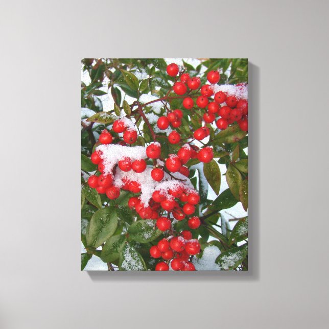Berries and Snow! Canvas Print (Front)