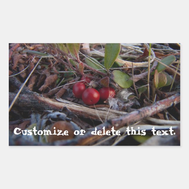 Berries and Twigs; Customizable Sticker (Front)