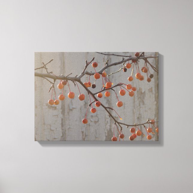 Berries and White Barn Canvas Print (Front)