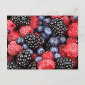 berries background postcard