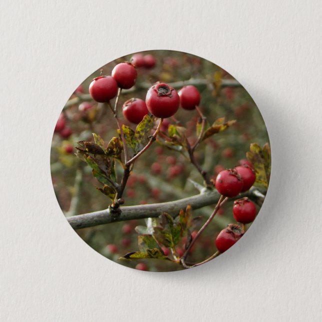 Berries Button (Front)