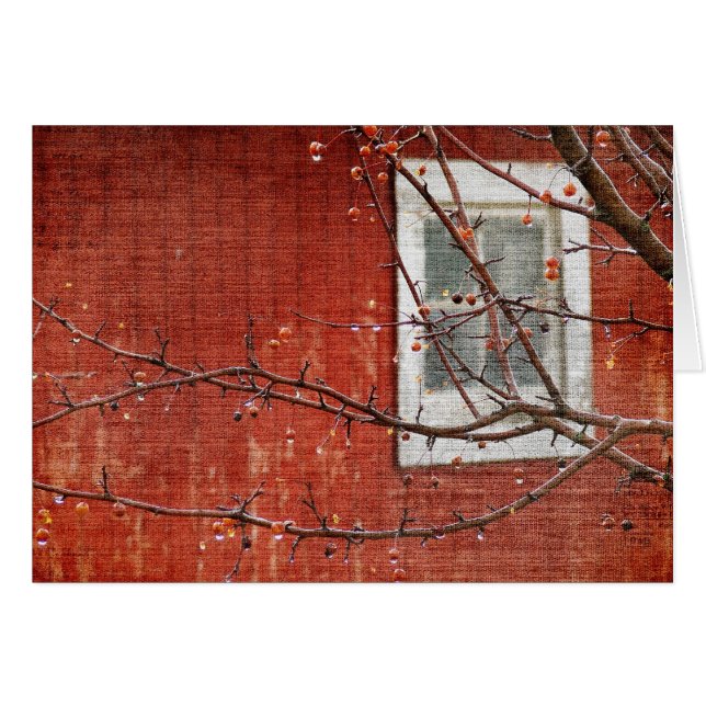 Berries et Red Barn (Devant horizontal)