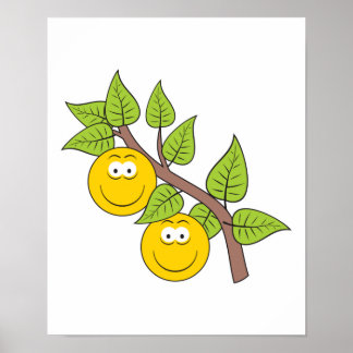 Berries Face Poster