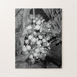 Berries In Black And White Nature Jigsaw Puzzle