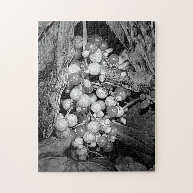 Berries In Black And White Nature Jigsaw Puzzle (Vertical)