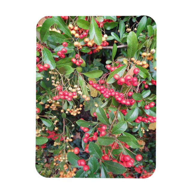 Berries in the Park Magnet (Vertical)