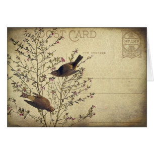 Berry Birds