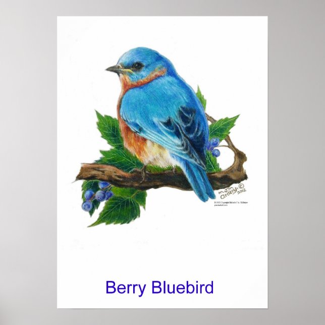 Berry Bluebird Poster (Front)