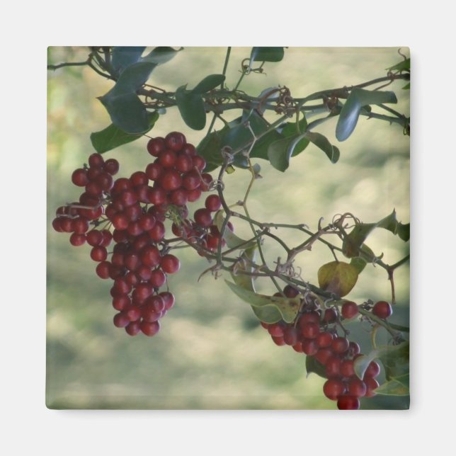 Berry Magnet (Front)