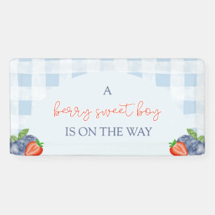 Berry Sweet Boy Baby Shower Banner